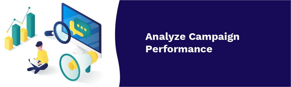analyze campaign performance